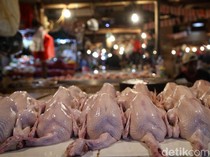 Harga Ayam di Pasar Ikut Anjlok Jadi Rp 35.000/Kg