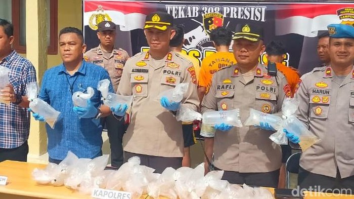 Polisi berhasil menggagalkan penyelundupan benih lobster di Pesisir Barat, Lampung.
