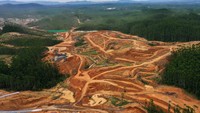 Setidaknya sekitar 36 unit akan dibangun di lokasi persil 104 dan 105 KIPP IKN.