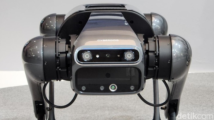 Robot Anjing Cyberdog