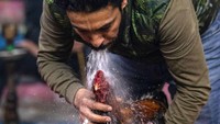 Dilarang di banyak bagian dunia karena kekhawatiran akan kekejaman terhadap hewan, sabung ayam tetap umum dari Filipina hingga India, dan ditoleransi di daerah termasuk bagian utara Prancis atas nama tradisi.  