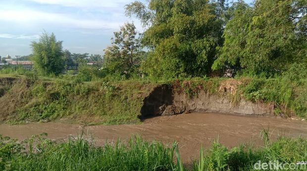 Tingginya Debit Sungai Konto Putus 1 Jembatan dan Sebabkan Tanggul Kritis Hingga 600 Meter