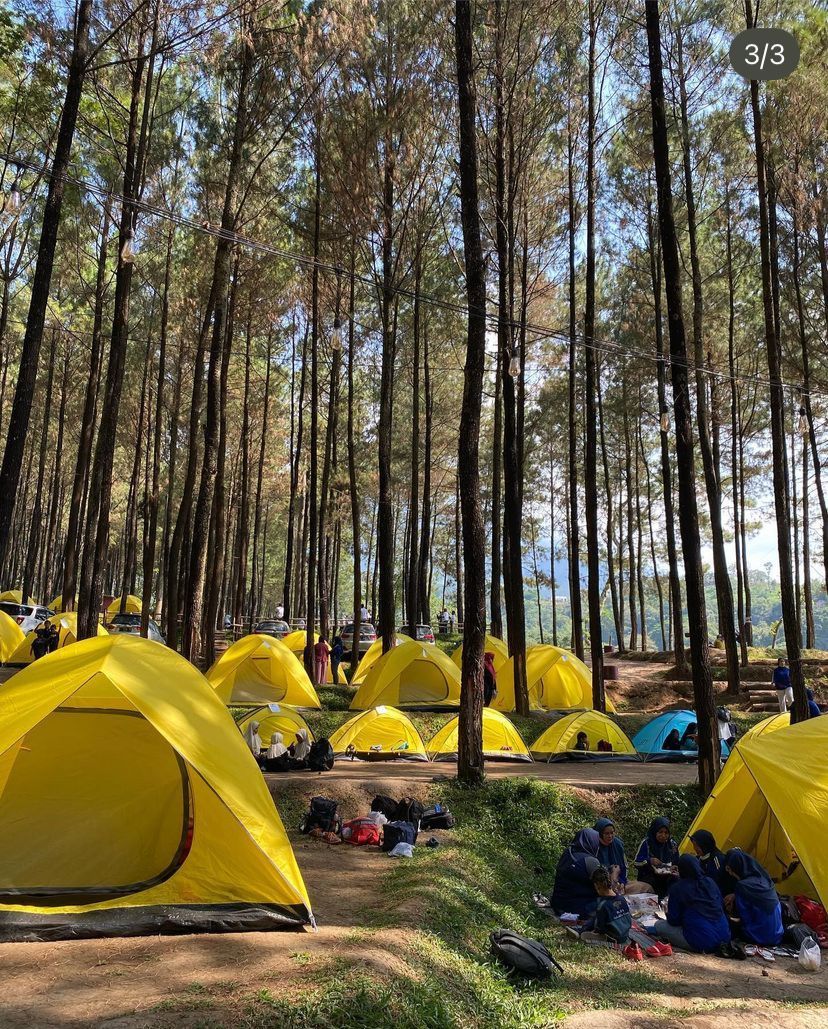 Apakah detikers suka camping dan piknik? Jika iya, simak ulasan berikut ini mengenai Alas Veenuz Trawas.