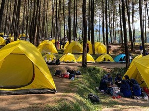 Alas Veenuz Trawas Mojokerto, Surga Bagi yang Suka Camping dan Piknik