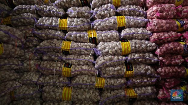 Bawang Putih (CNBC Indonesia/Tri Susilo)