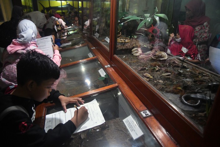 Siswa SDN Loji 2 Kota Bogor mengamati salah satu jenis ular yang telah diawetkan di Museum Zoologi, Kota Bogor, Jawa Barat, Kamis (2/3/2023). Museum Zoologi yang berdiri sejak tahun 1894 dan memiliki koleksi sekitar 20 ribu jenis hewan dari berbagai spesies tersebut menjadi tujuan edukasi siswa untuk mengenal dan menambah pengetahuan tentang keanekaragaman hewan di Indonesia. ANTARA FOTO/Arif Firmansyah/hp.