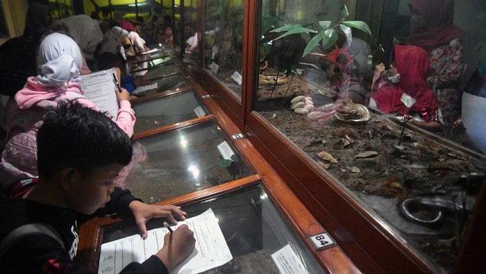BELAJAR MENGENAL FAUNA DI MUSEUM ZOOLOGI BOGOR Siswa SDN Loji 2 Kota Bogor mengamati salah satu jenis ular yang telah diawetkan di Museum Zoologi, Kota Bogor, Jawa Barat, Kamis (2/3/2023). Museum Zoologi yang berdiri sejak tahun 1894 dan memiliki koleksi sekitar 20 ribu jenis hewan dari berbagai spesies tersebut menjadi tujuan edukasi siswa untuk mengenal dan menambah pengetahuan tentang keanekaragaman hewan di Indonesia. ANTARA FOTO/Arif Firmansyah/hp.