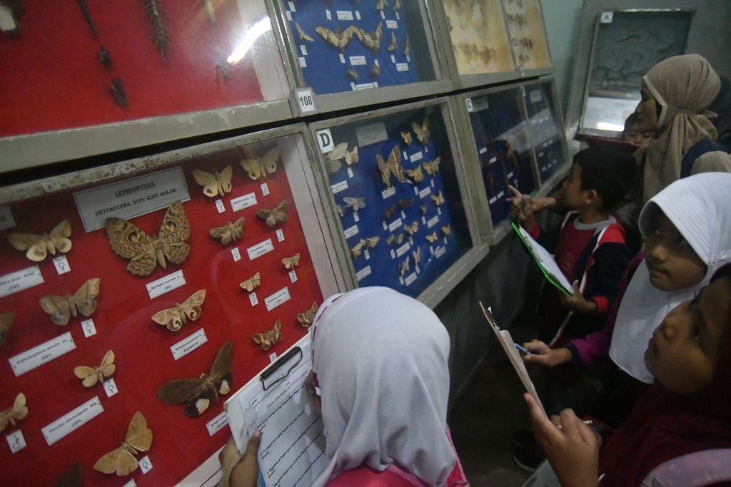 Siswa SDN Loji 2 Kota Bogor mengamati salah satu jenis ular yang telah diawetkan di Museum Zoologi, Kota Bogor, Jawa Barat, Kamis (2/3/2023). Museum Zoologi yang berdiri sejak tahun 1894 dan memiliki koleksi sekitar 20 ribu jenis hewan dari berbagai spesies tersebut menjadi tujuan edukasi siswa untuk mengenal dan menambah pengetahuan tentang keanekaragaman hewan di Indonesia. ANTARA FOTO/Arif Firmansyah/hp.