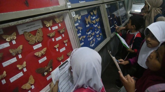 BELAJAR MENGENAL FAUNA DI MUSEUM ZOOLOGI BOGOR Siswa SDN Loji 2 Kota Bogor mengamati salah satu jenis ular yang telah diawetkan di Museum Zoologi, Kota Bogor, Jawa Barat, Kamis (2/3/2023). Museum Zoologi yang berdiri sejak tahun 1894 dan memiliki koleksi sekitar 20 ribu jenis hewan dari berbagai spesies tersebut menjadi tujuan edukasi siswa untuk mengenal dan menambah pengetahuan tentang keanekaragaman hewan di Indonesia. ANTARA FOTO/Arif Firmansyah/hp.