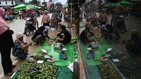 Sejumlah pedagang di pasar tersebut mengaku pendapatannya meningkat setelah daerah itu ditetapkan menjadi kawasan inti IKN Nusantara.