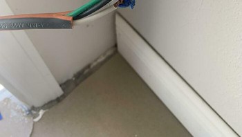 Duh kalau tidak sengaja menyentuh bisa hilang nyawa. Foto: Reddit via Boredpanda