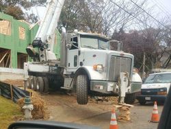 Deretan Foto Ini Bikin Gemas dan Was-was Sekaligus