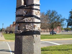 Deretan Foto Ini Bikin Gemas dan Was-was Sekaligus