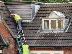 Deretan Foto Ini Bikin Gemas dan Was-was Sekaligus