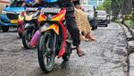 Hati-hati! Jalan Rasuna Said Rusak dan Becek