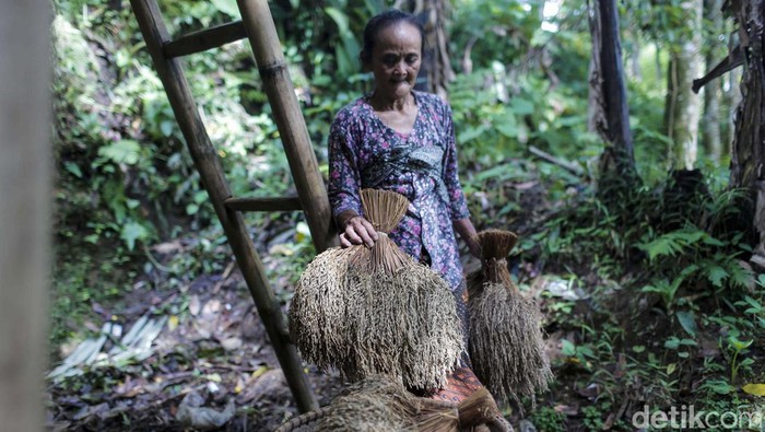 Lumbung Padi, Bentuk Ketahanan Pangan Kasepuhan Sinar Resmi Kasepuhan Sinar Resmi jadi salah satu desa adat Banten Kidul yang menarik untuk diulik. Desa ini begitu lekat dengan pertanian dari segala aspek kehidupan. Road Trip Lintas Banten-Jawa Barat detikcom dan NEW MG HS singgah di beberapa daerah, termasuk di Kasepuhan Sinar Resmi di Kecamatan Cisolok, Kabupaten Sukabumi, Jawa Barat.