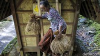 Setelah panen, warga tidak menjual habis padi. Mereka menyimpannya di lumbung padi.