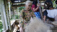 Road Trip Lintas Banten-Jawa Barat yang dilakukan detikcom bersama NEW MG HS singgah di desa adat ini beberapa waktu lalu.
