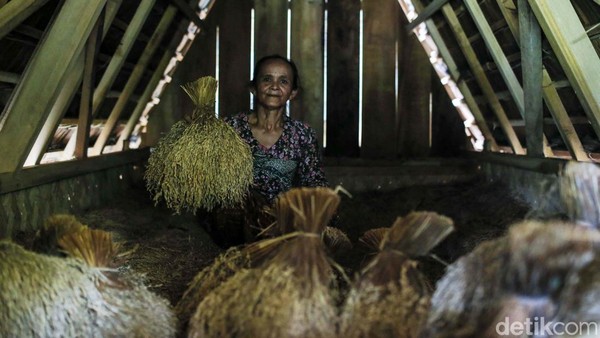 Desa adat yang kukuh mempertahankan pertanian sebagai mata pencaharian ini berada di Kasepuhan Sinar Resmi, Kecamatan Cisolok, Kabupaten Sukabumi, Jawa Barat. Desa adat yang kukuh mempertahankan pertanian sebagai mata pencaharian ini berada di Kasepuhan Sinar Resmi, Kecamatan Cisolok, Kabupaten Sukabumi, Jawa Barat.