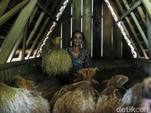 Desa Adat Ini Punya Bank Padi, Begini Wujudnya