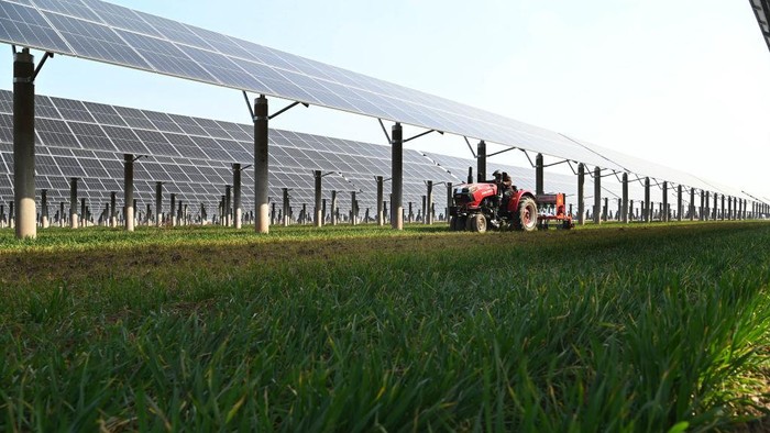 Sistem pertanian Agrivoltaik mengembangkan bersama area lahan yang baik. Hal ini tentunya baik untuk tenaga surya fotovoltaik maupun untuk pertanian.