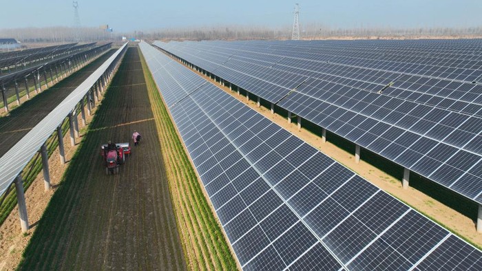 Menanam Gandum di Bawah Panel Fotovoltaik Sistem pertanian Agrivoltaik mengembangkan bersama area lahan yang baik. Hal ini tentunya baik untuk tenaga surya fotovoltaik maupun untuk pertanian.