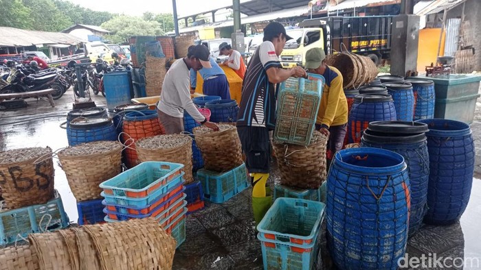 Aktivitas pedagang di Pasar Ikan Lamongan
