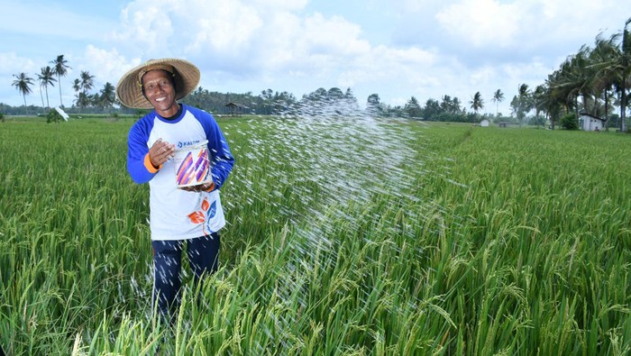 PT Pupuk Kaltim