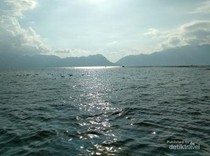 BMKG Ungkap Potensi Tsunami di Danau Maninjau, Ini Penyebabnya