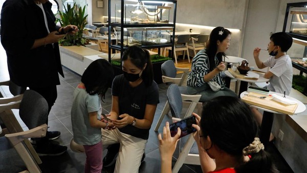 Seorang pengunjung kafe Fangs by Dekori, berfoto bersama reptil, di kafe bertema reptil di Subang Jaya, Malaysia, Sabtu (18/2/2023). Sebuah kafe Malaysia di pinggiran Kuala Lumpur menyajikan makanan penutup, dengan memberikan pelanggannya kesempatan untuk merasakan kue dan wafel mereka tepat di samping kadal, tarantula, gerbil, dan ular.  Seorang pengunjung kafe Fangs by Dekori, berfoto bersama reptil, di kafe bertema reptil di Subang Jaya, Malaysia, Sabtu (18/2/2023). Sebuah kafe Malaysia di pinggiran Kuala Lumpur menyajikan makanan penutup, dengan memberikan pelanggannya kesempatan untuk merasakan kue dan wafel mereka tepat di samping kadal, tarantula, gerbil, dan ular. Â