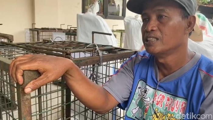 Sugito pengamen topeng monyet Desa Kertosari yang sedih berpisah dengan monyetnya.