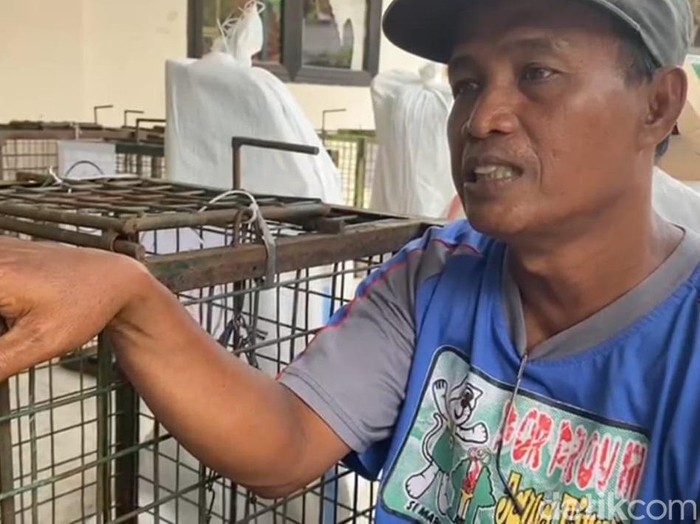 Sugito pengamen topeng monyet Desa Kertosari yang sedih berpisah dengan monyetnya.
