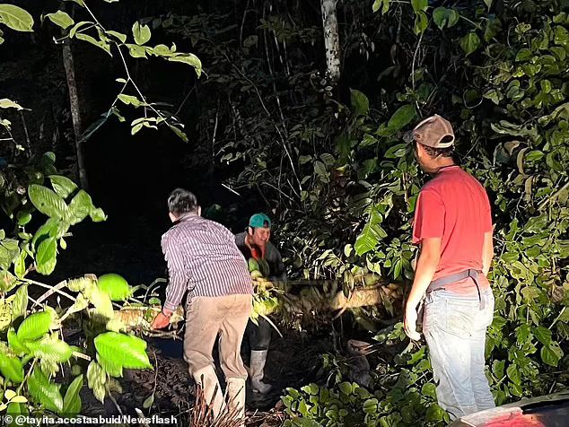 Tersesat di Hutan, Petani Ini Bertahan Hidup Makan Ulat hingga Air Kencing!