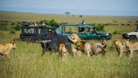Taman ini membentuk ekosistem yang beragam bahkan diklaim sebagai ekosistem yang dapat disaksikan langsung lewat tur safari terbaik di dunia.