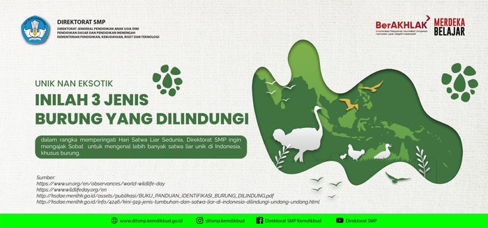 3 jenis burung yang dilindungi