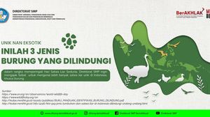 Hari Satwa Liar Sedunia 3 Maret, Yuk Kenali 3 Jenis Burung Eksotis yang Dilindungi!