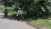 Apabila warga Ciamis dari kecamatan lain datang ke lima kecamatan itu, rasanya seperti berada di provinsi lain. Namun pada dasarnya warga di lima kecamatan itu tetap bisa memahami bahasa Sunda.