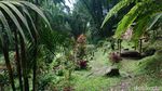 Penampakan Air Terjun Surodadu, Hidden Gem Adem di Kaki Gunung Welirang