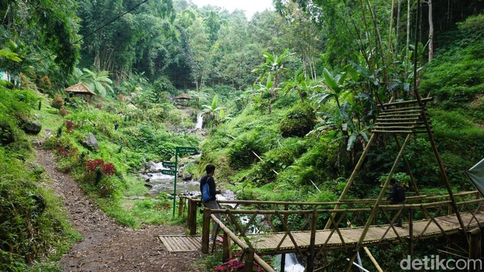 Air Terjun Surodadu Mojokerto Air Terjun Surodadu Mojokerto