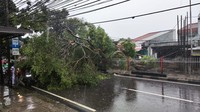 Selasa (28/2) hujan deras beserta angin kencang melanda sejumlah wilayah di DKI Jakarta. Badan Penanggulangan Bencana Daerah (BPBD) DKI Jakarta mencatat sebanyak 18 pohon dilaporkan tumbang. Dok. Sudin Gulkarmat Jaktim