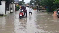 Kamis (2/3) Sedikitnya 9 desa di Kabupaten Brebes, Jawa Tengah, terendam banjir. Selain rumah, lahan pertanian padi dan bawang merah juga terkena dampak. Imam Suripto/detikJateng