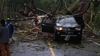 Cuaca ekstrem juga membuat tanah longsor di kawasan Jawa Timur tepatnya di di jalur Trenggalek-Ponorogo, Kecamatan Tugu. Dua uni kendaraan yang tengah melintas tertimpa pohon tumbang imbas tanah longsor dan mengakibatkan korban luka. Dok. Polsek Tugu