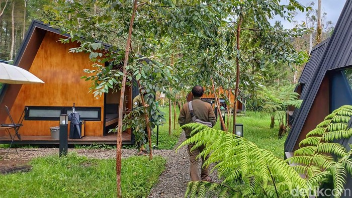 Bobocabin di Rancaupas, Ciwidey, Kabupaten Bandung