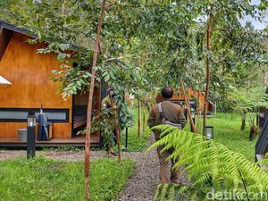 Minat Wisatawan Asing ke RI Meningkat, Peluang Baru Wisata Berkelanjutan