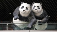 Selain menarik perhatian pengunjung, patung panda tersebut tampak begitu menggemaskan.