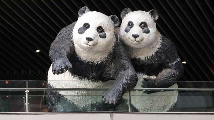 Gemes banget! Ada Patung Panda Mejeng di Depan Mal Shanghai Area Sinar Mas Plaza yang berada di Shanghai, China ini di hiasi patung panda yang menggemaskan. Nih lihat fotonya.
