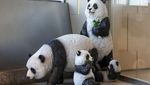 Gemes Banget! Ada Patung Panda Mejeng di Mal China
