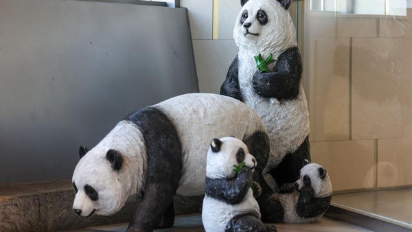 Patung yang didesain ini mirip sekali dengan panda asli.
