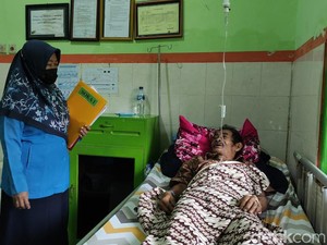 Apa Itu Wabah Kencing Tikus yang Melanda Pacitan?