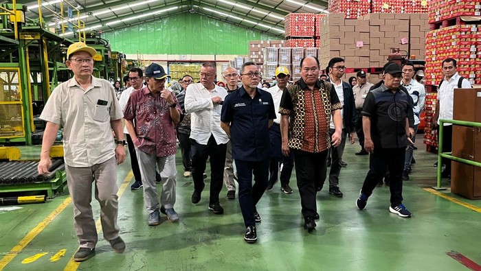 Mendag di Pabrik Nanas & EduFarm Nestle Menteri Perdagangan Zulkifli Hasan meninjau sejumlah tempat yaitu pabrik bahan pokok sampai pabrik pengepakan nanas di Lampung, Jumat (3/3/2023).